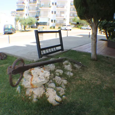 Agi Rescator * Roses